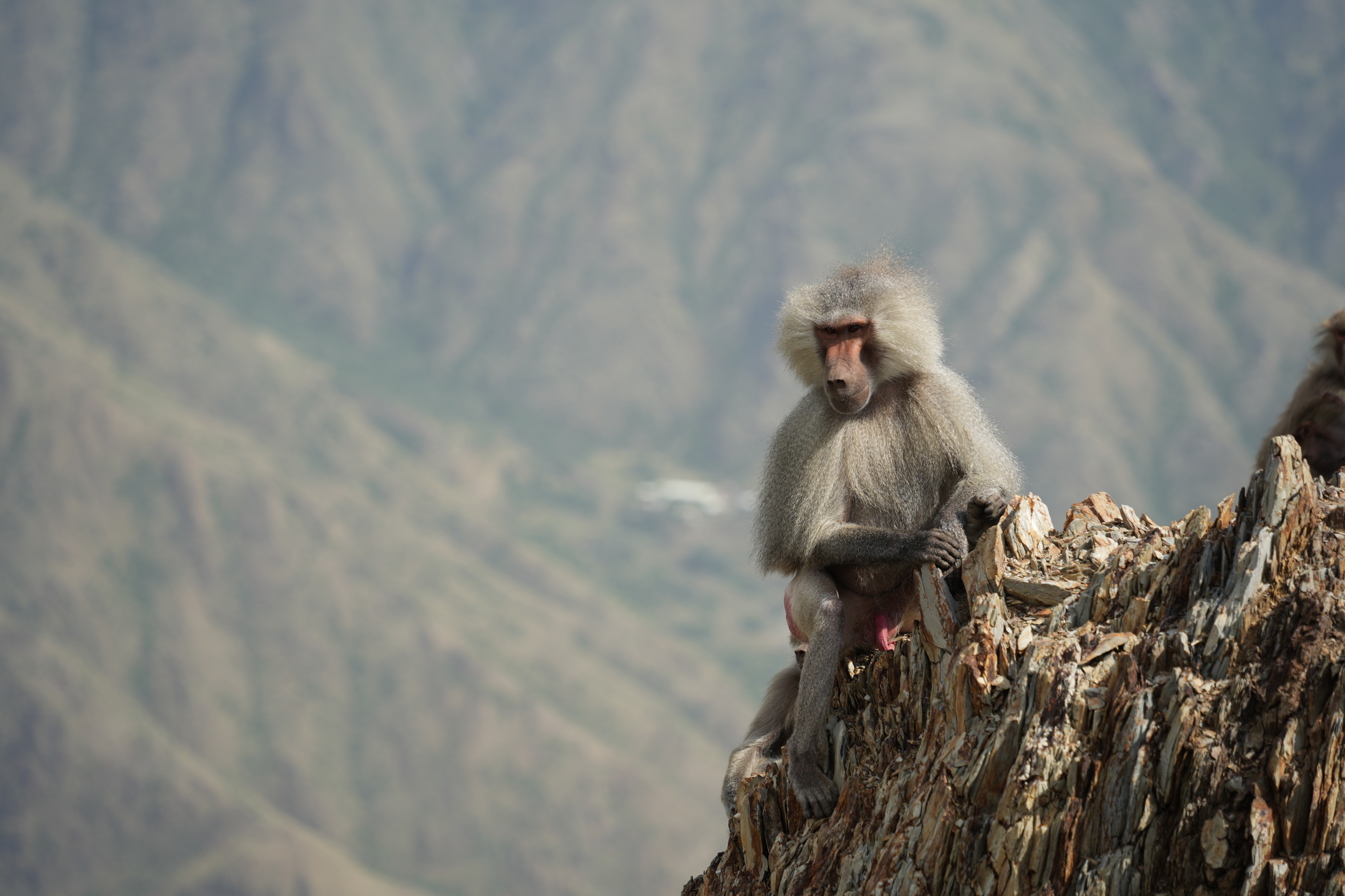 Dramatic mountain landscape at sunset